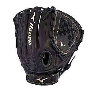 GPM1205 PREMIER 12